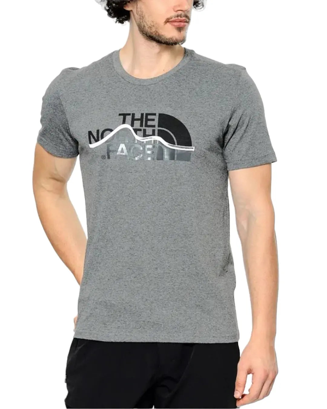 THE NORTH FACE MOUNTIN LINE TEE