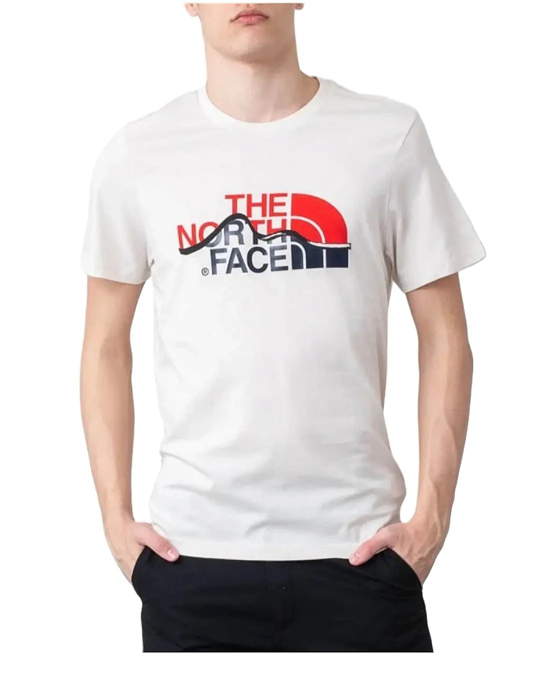 THE NORTH FACE MOUNTIN LINE TEE