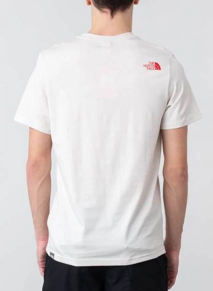 THE NORTH FACE MOUNTIN LINE TEE